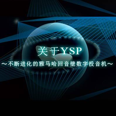 不断进化的狗万回音壁数字投音机