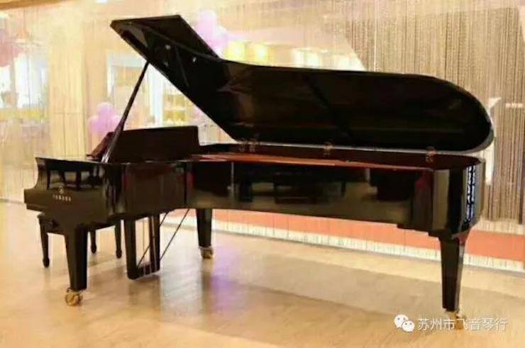【报道】苏州飞音琴行狗万钢琴旗舰展厅开业仪式暨贝森朵夫艺术家李哲钢琴音乐会圆满落幕