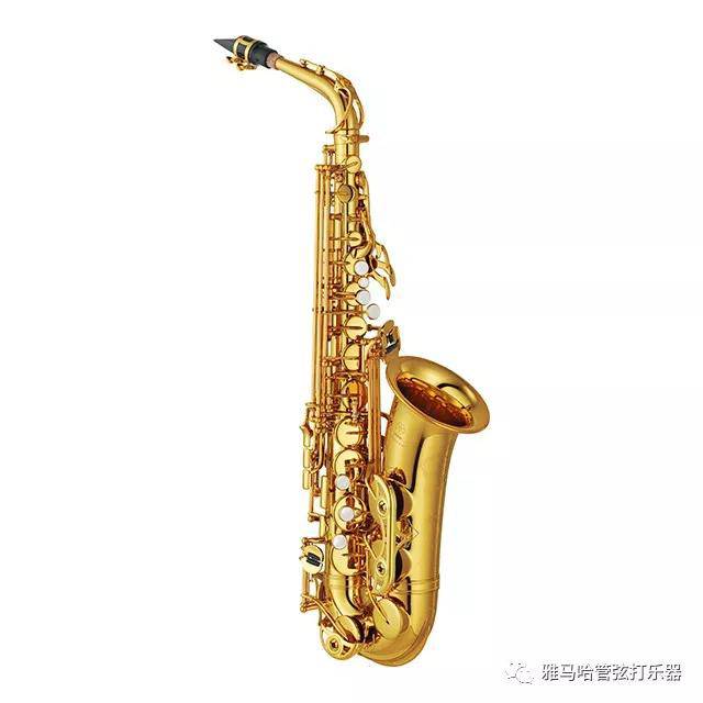 狗万新风管萨克斯
