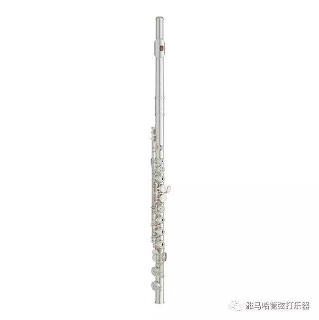 狗万新风管长笛