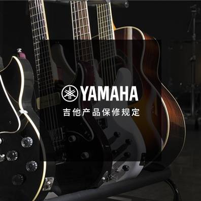 吉他、贝斯和音箱